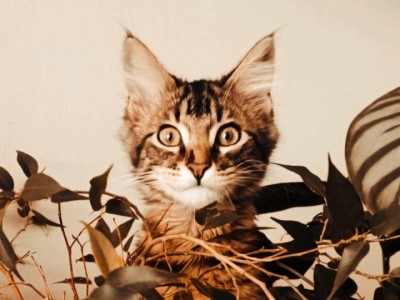 Photo du lieu des soins à domicile